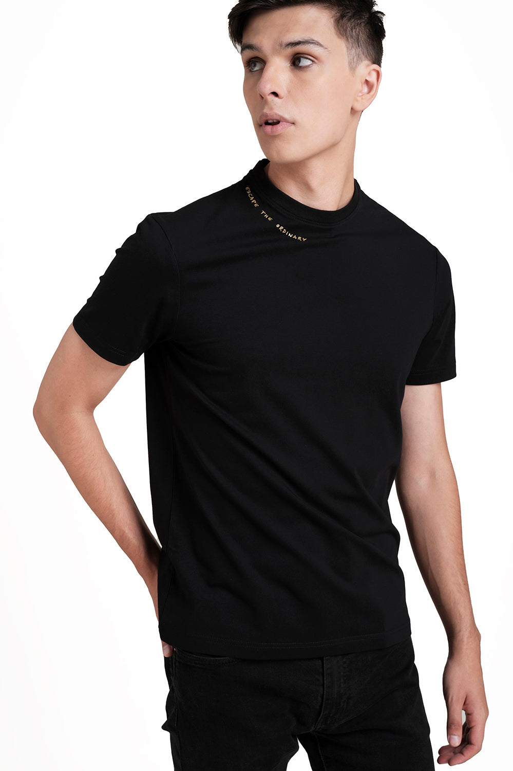 Around the neck gold high build print, solid single jersey t-shirt