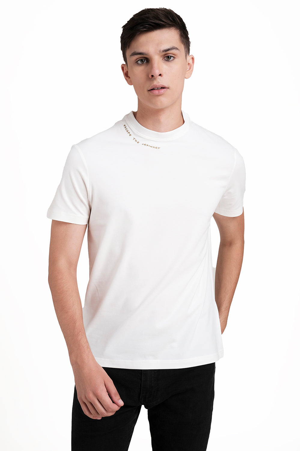 Around the neck gold high build print, solid single jersey t-shirt