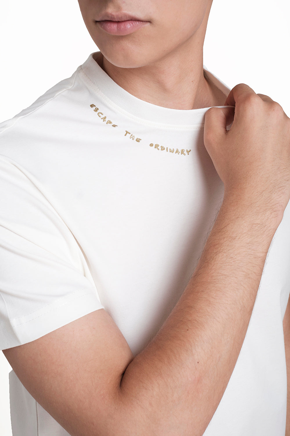Around the neck gold high build print, solid single jersey t-shirt